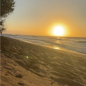 Meet your Posher, Mazie